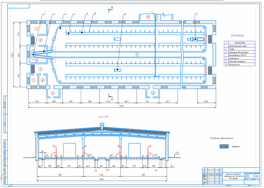 Чертеж Генеральный план молочно-товарной фермы на 1000 голов и план-разрез коровника на 200 голов