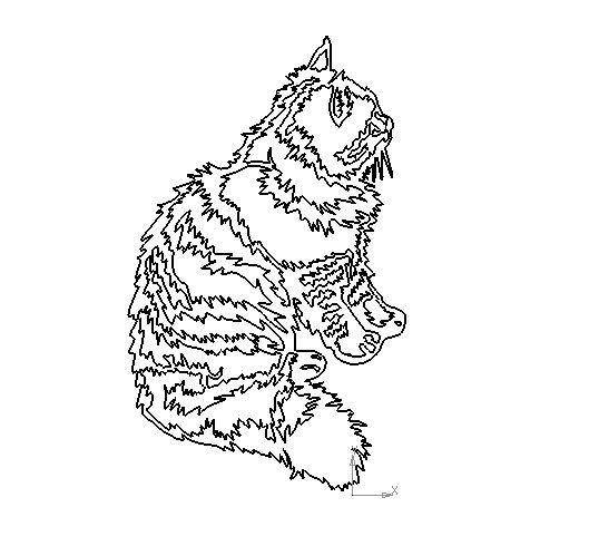 Чертеж Кот