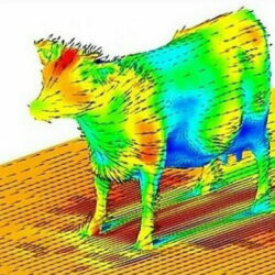 3D модель Лада Веста 3-Д модель упрощенная для проверки коэффициента сопротивления воздуха