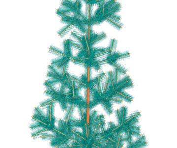 Чертеж Голубая ель