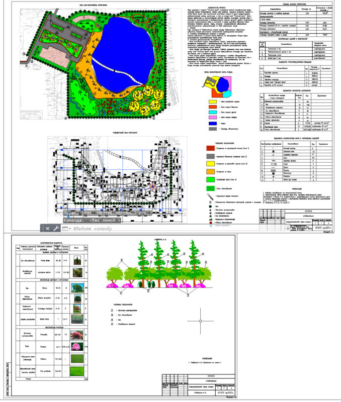 Чертеж Ландшафтный дизайн. Благоустройство парка отдыха пос. Радужный