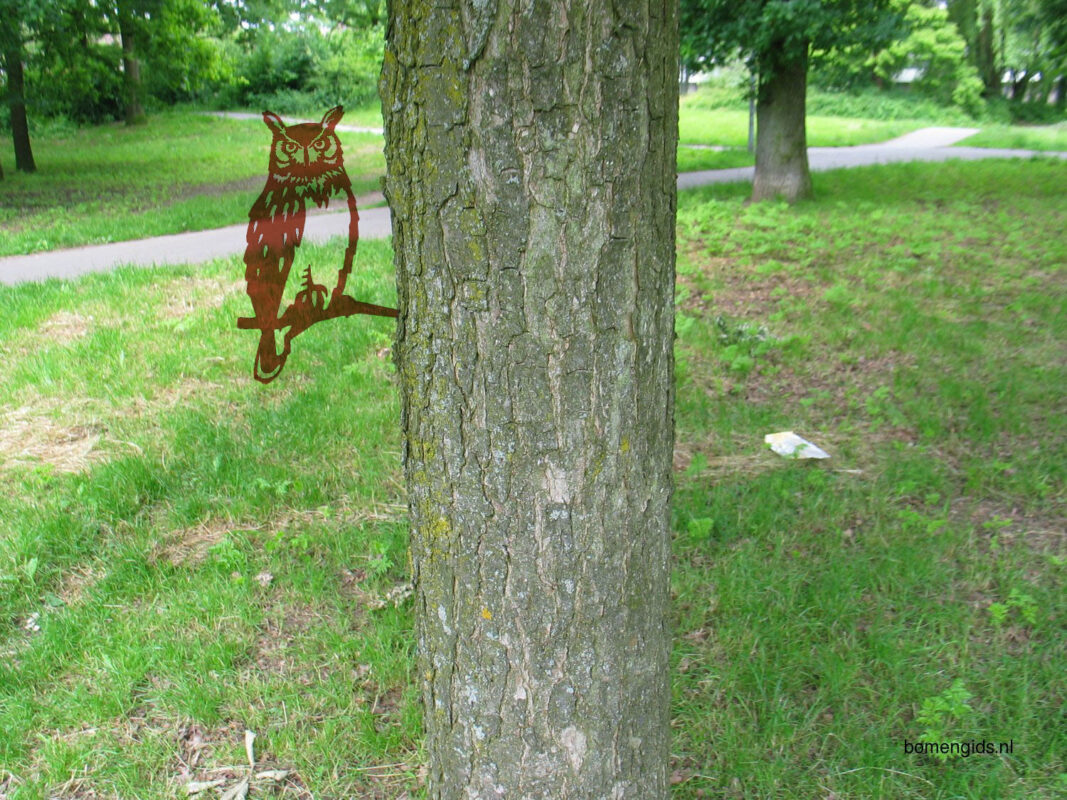 Чертеж Фигура металлическая (Сова)