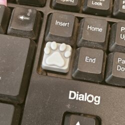 3D модель Кнопка для механической клавиатуры в форме лапки