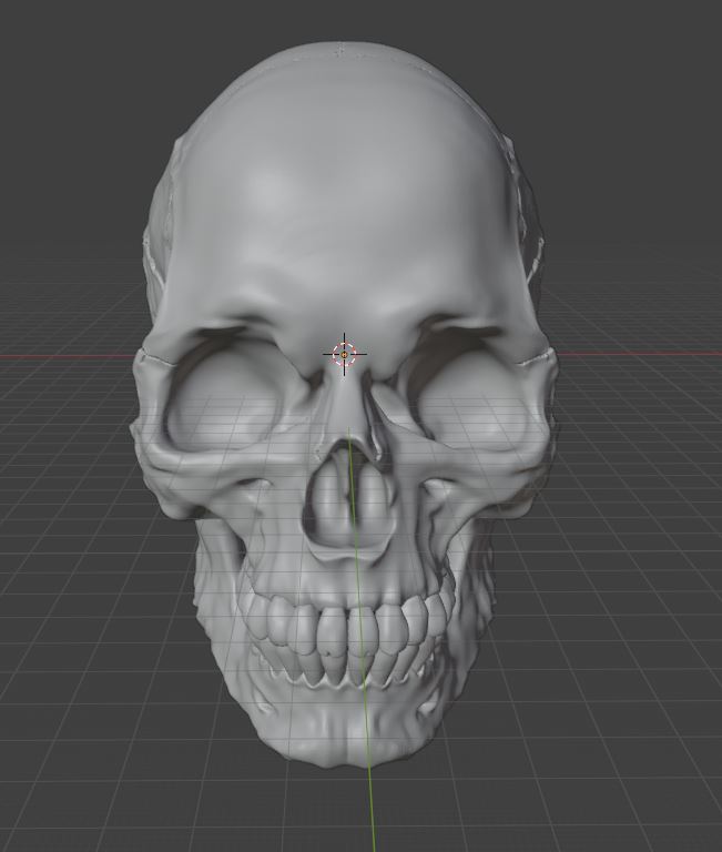 3D модель Череп в Blender