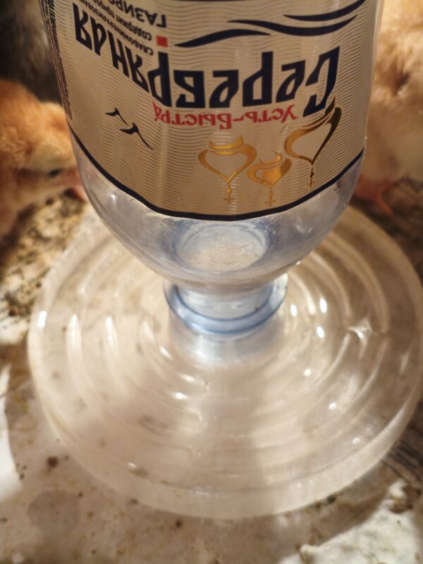 3D модель Поилка для цыплят под любую бутылку