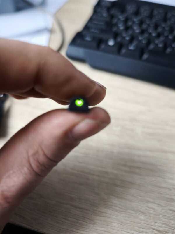 3D модель Туннельная мушка