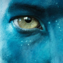 user-avatar