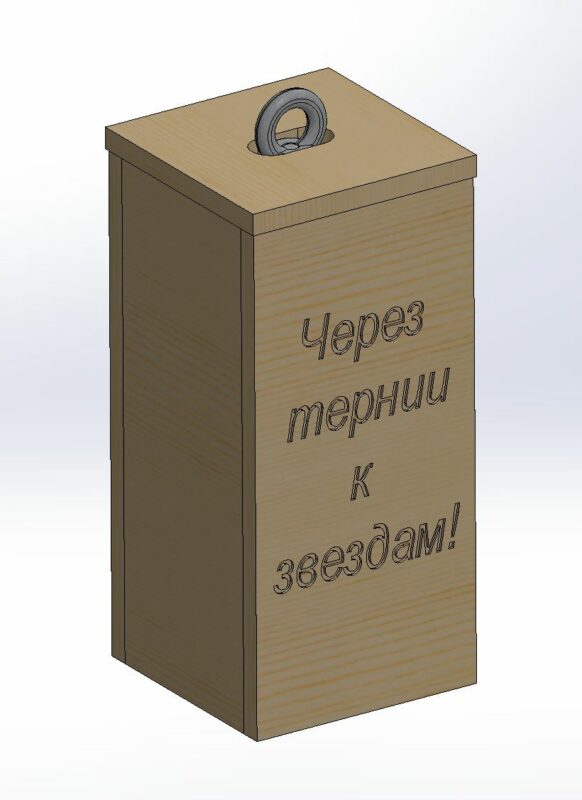 3D модель Подарочная клетка для бутылки в фанерном коробе